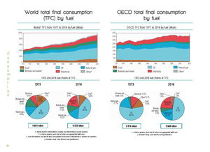 互聯(lián)網(wǎng)數(shù)據(jù)資訊中心199it 引領(lǐng)數(shù)據(jù)服務(wù)新時代